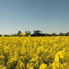 Classic - Impressionen