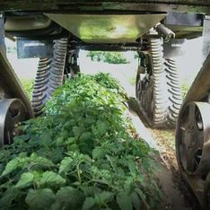 DAMMANN-trac 2800H S5 EcoDrive fährt übers Feld