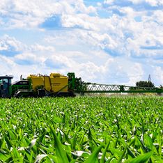 DAMMANN-trac 2800H S5 EcoDrive fährt übers Feld